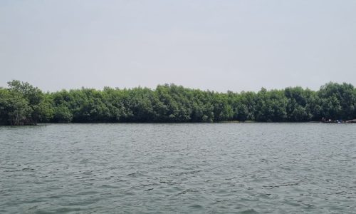 WhatsApp Image 2025-08-15 at 22.30.54_381cfc3e