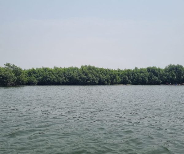 WhatsApp Image 2025-08-15 at 22.30.54_381cfc3e