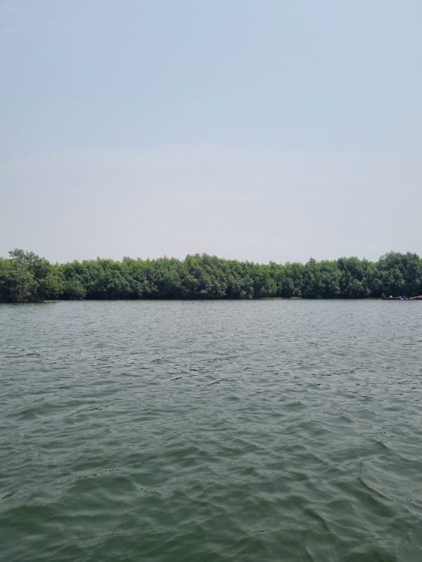 WhatsApp Image 2025-08-15 at 22.30.54_381cfc3e