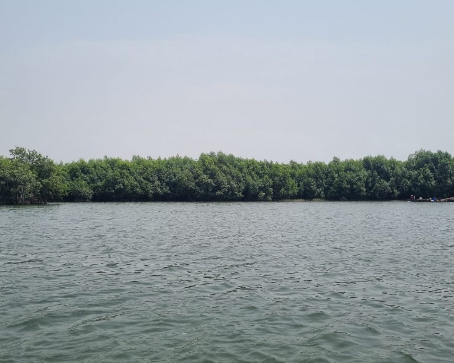 WhatsApp Image 2025-08-15 at 22.30.54_381cfc3e